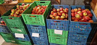 🍎 Predám domáce jablká 🍏 - 2
