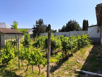 Rodinný dom Dvorníky 10km od Hlohovca - 2