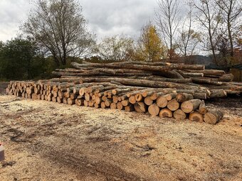 Palivove drevo - 2