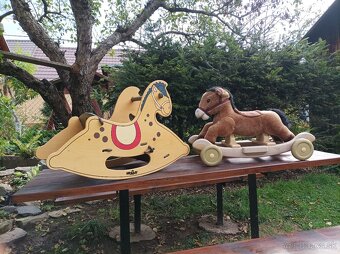 Koníky v dvoch variantoch - 2