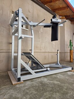 Pendulum squat - 2