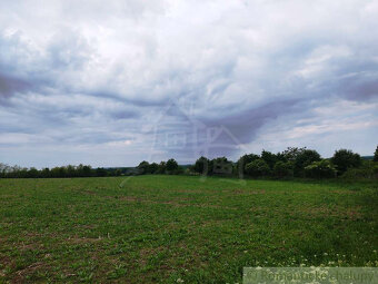 Návrat k prírode vo veľkom štýle: Dom, 1900m² záhrady s ov - 2