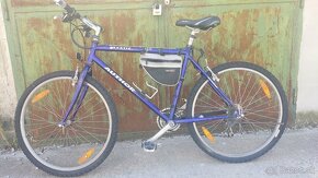 Detsky bicykel a dva panske - 2
