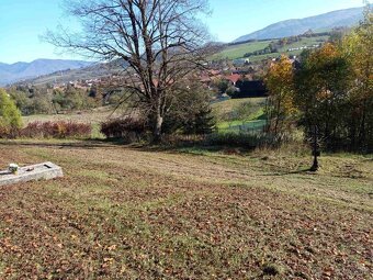 mulčovanie - 2