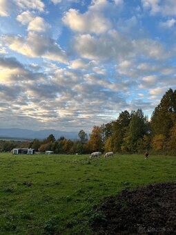 Ustajnenie v Lehote pod Vtáčnikom - 2