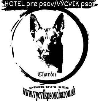 dvojtyzdnovy vycvik start, mesacny vycvik psov, hotel - 2