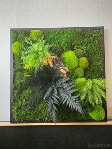 Machový obraz rastliny - 2