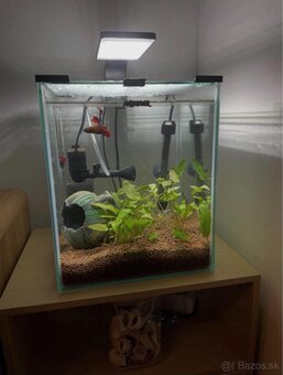 aquarium 19 litrov - 2