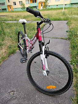 Detský bicykel CTM Willy 2.0 24'' - 2