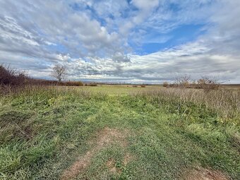 Predaj pozemok katastrálne územie Gemer 8689 m2 - 2