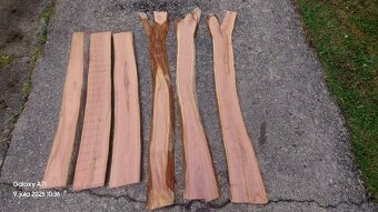 Fosne orechove slivove - 2