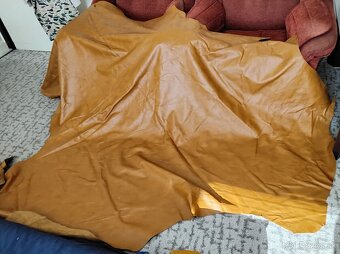 Čalunicka koža - 2