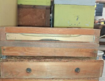 Včely - ÚLE B10 - 2