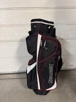 Bag Spalding - 2
