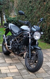 Suzuki SV 650 - 2024 - 2