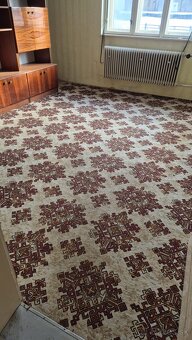 Starší koberec - 2