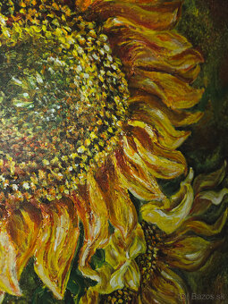 Obraz Slnečnice - 2