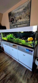 Predám 400l akvárium 180cm komplet + Eheim filter + CO2 - 2