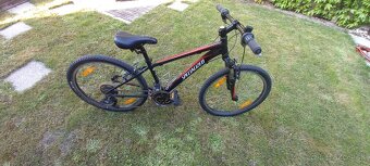 SPECIALIZED - 2
