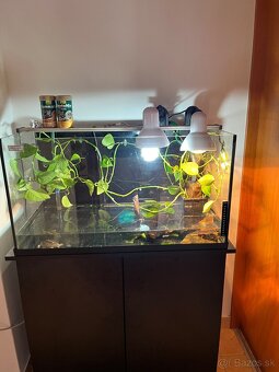 Vymenim kajmanku dravú - 2