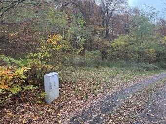 Pozemok v chatovej oblasti Vyšný Kazimír - 2