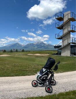 Golf.sada(12 palic a 2x bag), vozik, hitting mat, sietka. - 2