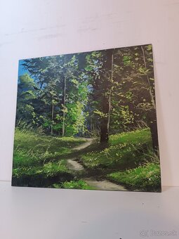 Akrylové obrazy 50x30 3 - 2