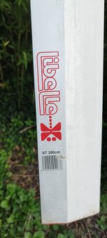 Mrazuvzdorný bambus - 2