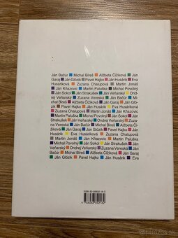 Kniha - maliari z Kovačice - 2