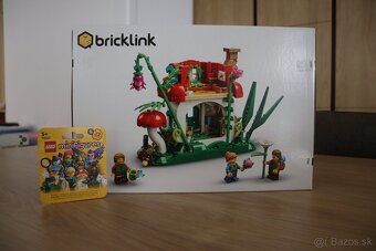 910037 Mushroom House + bonus - 2