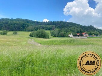 Pozemok na predaj, 13 237 m2 Slatinské Lazy, okres Detva - 2