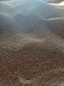 Jačmeň  Pšenica - 2