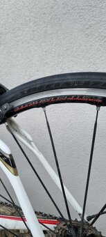 Specialized Roubaix SL4 - 2