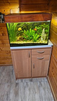 Predam akvarium - 2