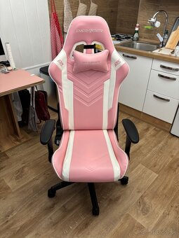 DXracer - 2
