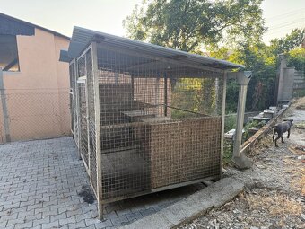 Voliera pre psika aj s budou - 2