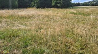 Predaj: Exkluzívne pozemok na developerské účely v obci Ošča - 2