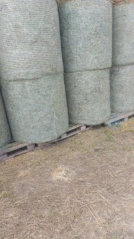 Mladza (otava) seno - 2