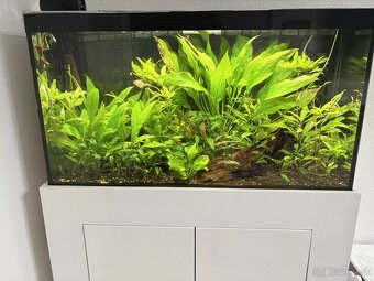 Akvárium s komodou komplet zariadené 150l - 2