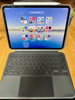 iPad PRO M4 11” 256GB WIFI, BLACK, 51 cxklov, zár. 03/27 - 2
