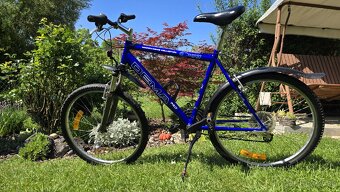 Horský bicykel Dema - 2