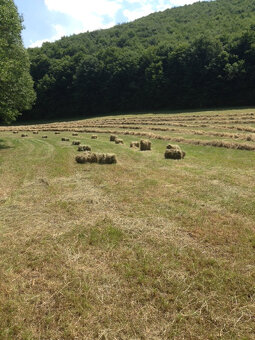 Predám seno v malých balíkoch - 2