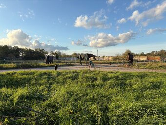 Ustajnenie Janíky - 2