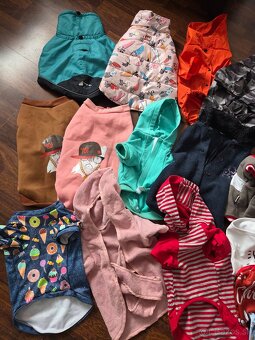 Balík oblečenia pre psíka - 2