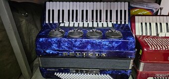 Harmonika delicia - 2