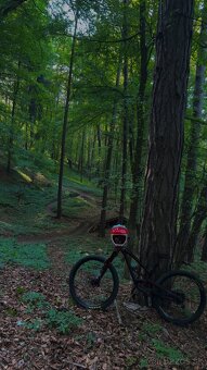 YT industries CAPRA Comp 29 2020 - 2