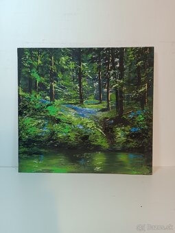 Akrylové obrazy 50x30 4 - 2