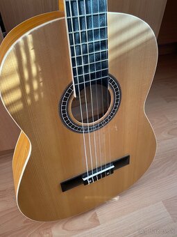 calida gitara - 2