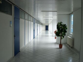 Kancelárske priestory, Nevädzova, Bratislava II. - 2