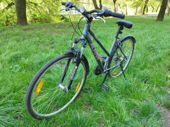 Alpina ECO10LC - 2